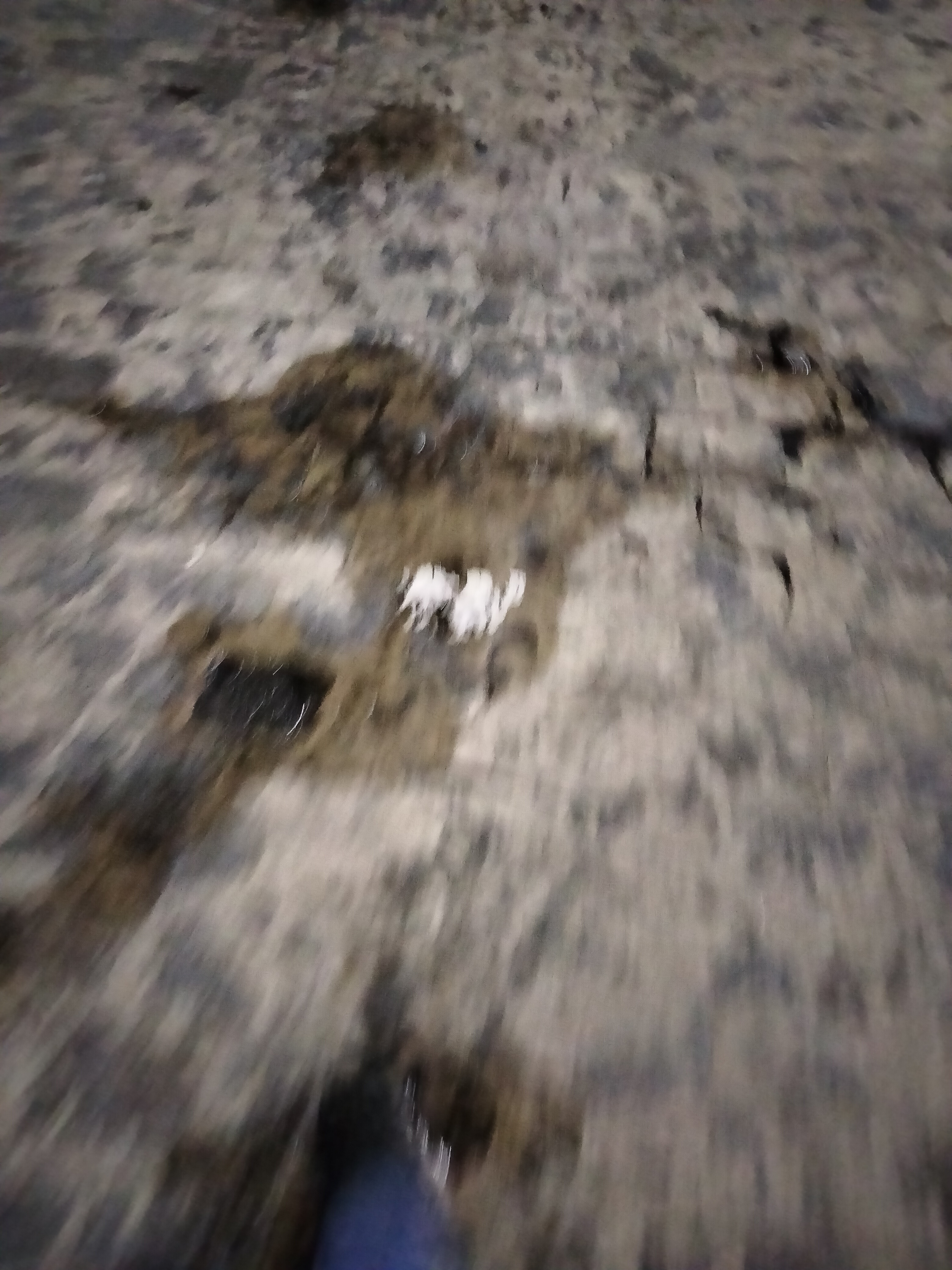 IMG20230313194825.jpg