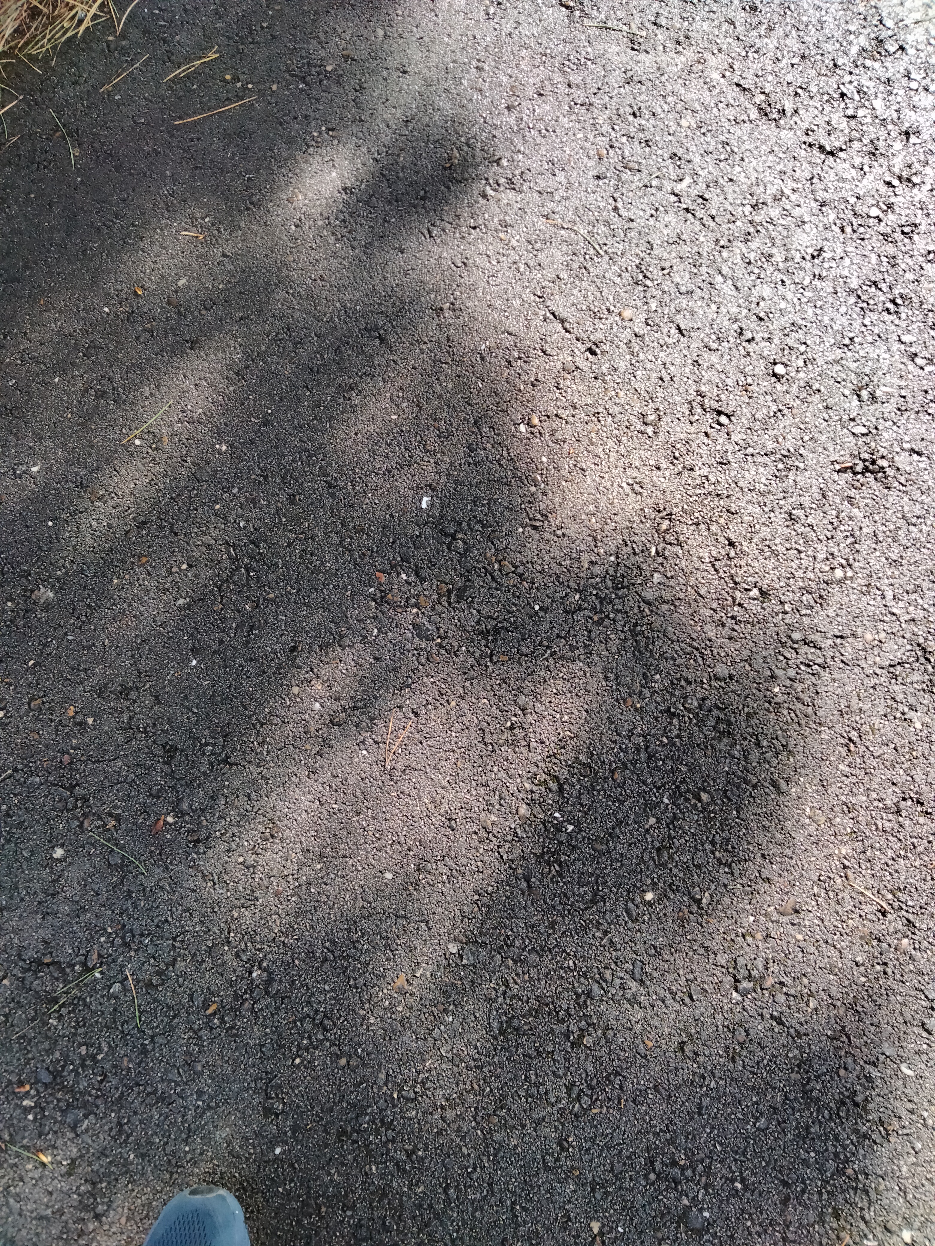 IMG20230319123110.jpg