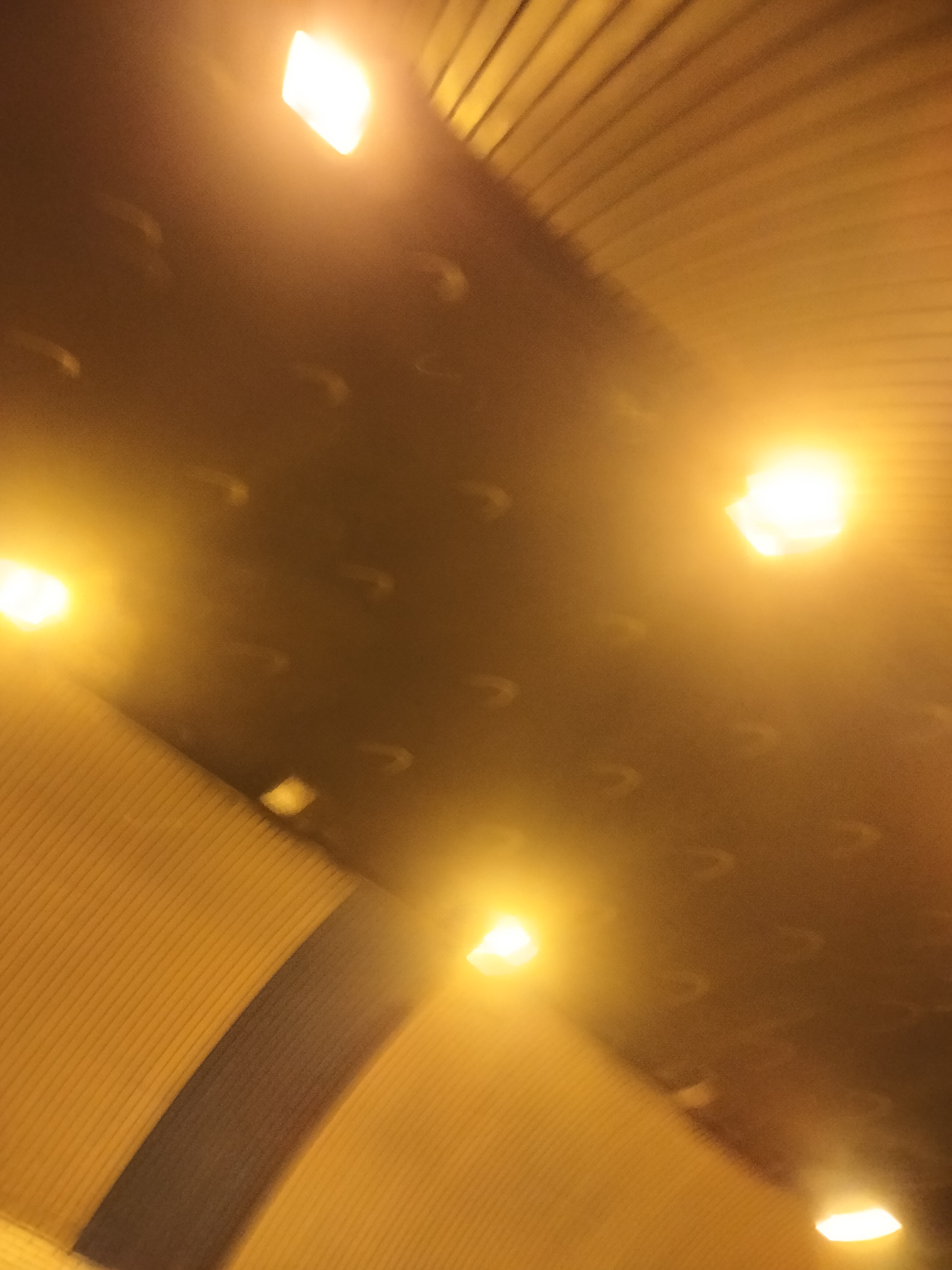 IMG20230325202429.jpg