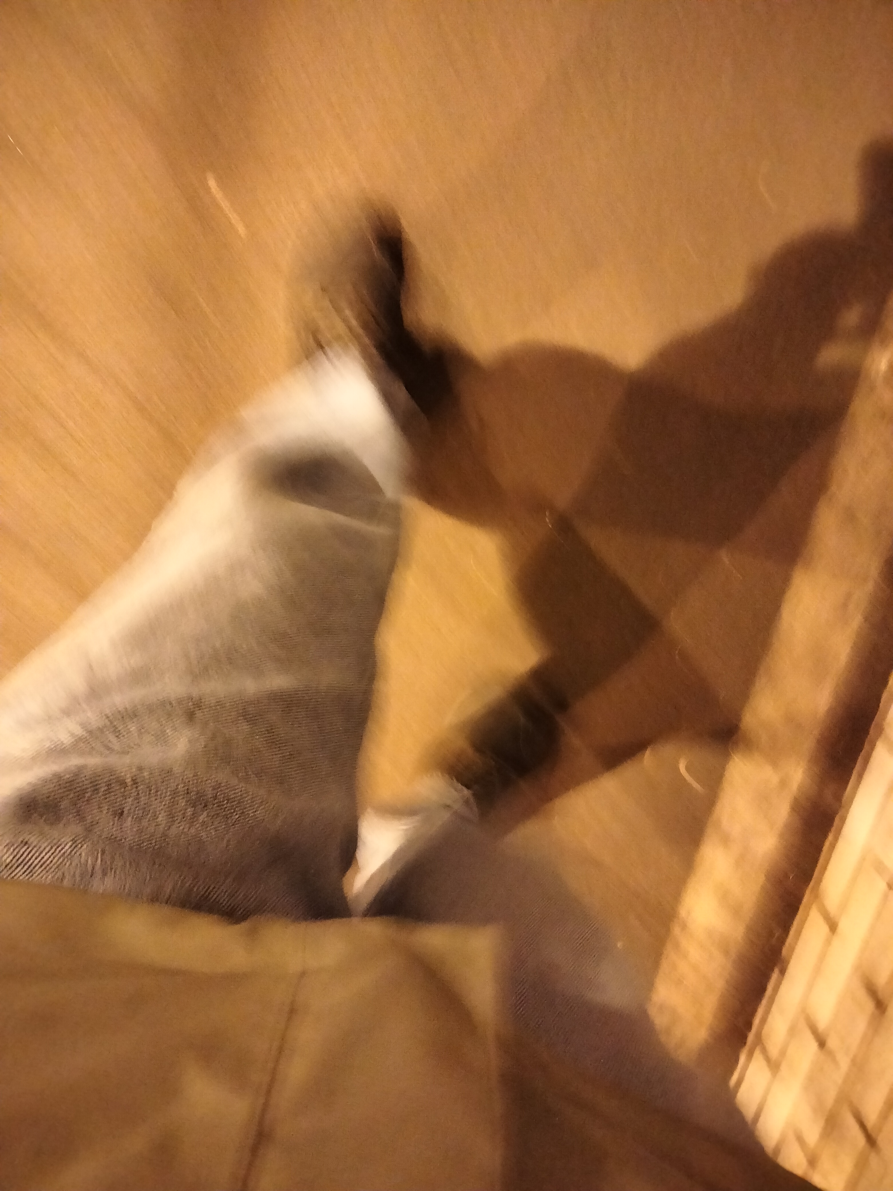 IMG20230325202439.jpg