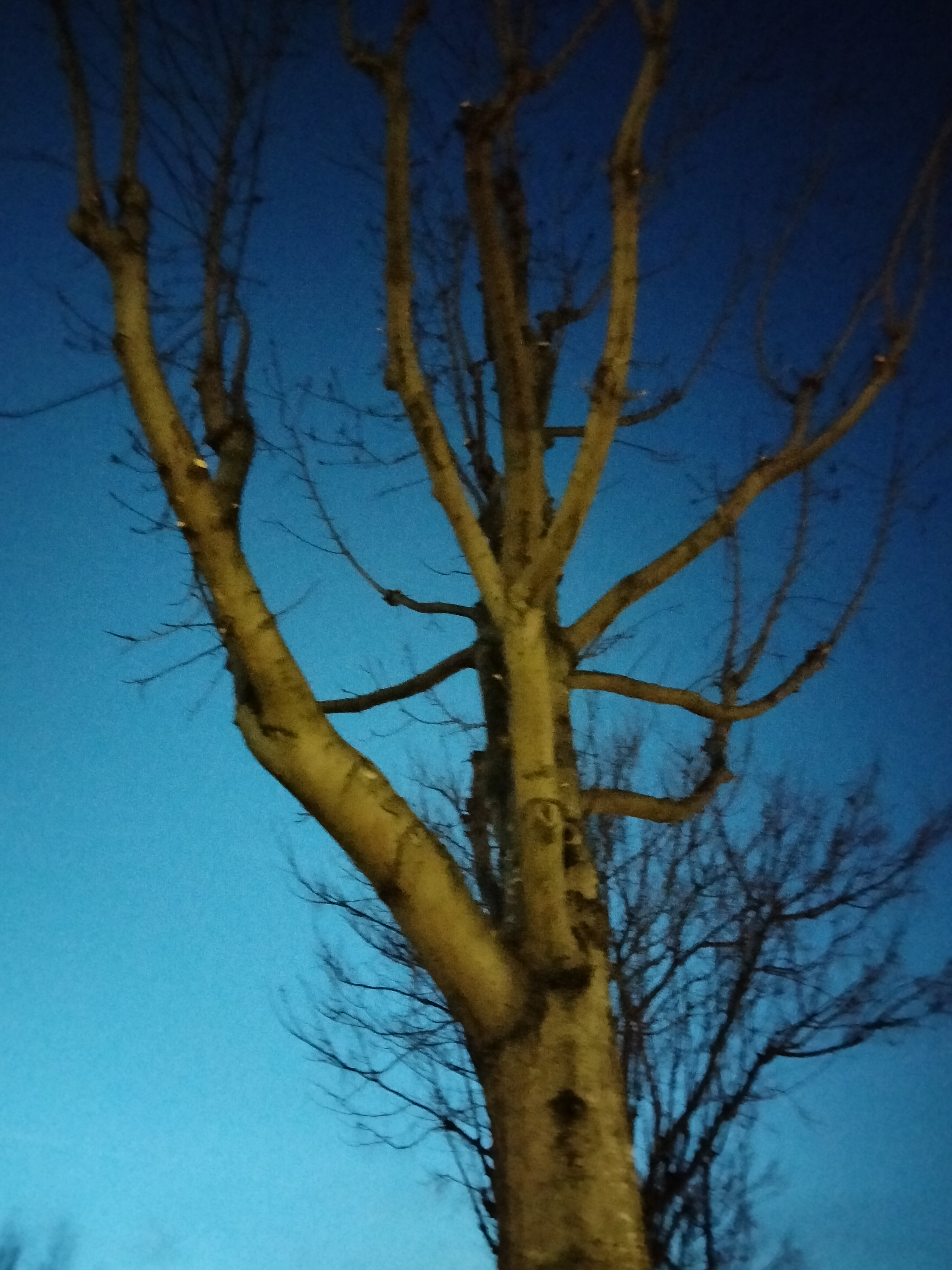 IMG20230327210645.jpg
