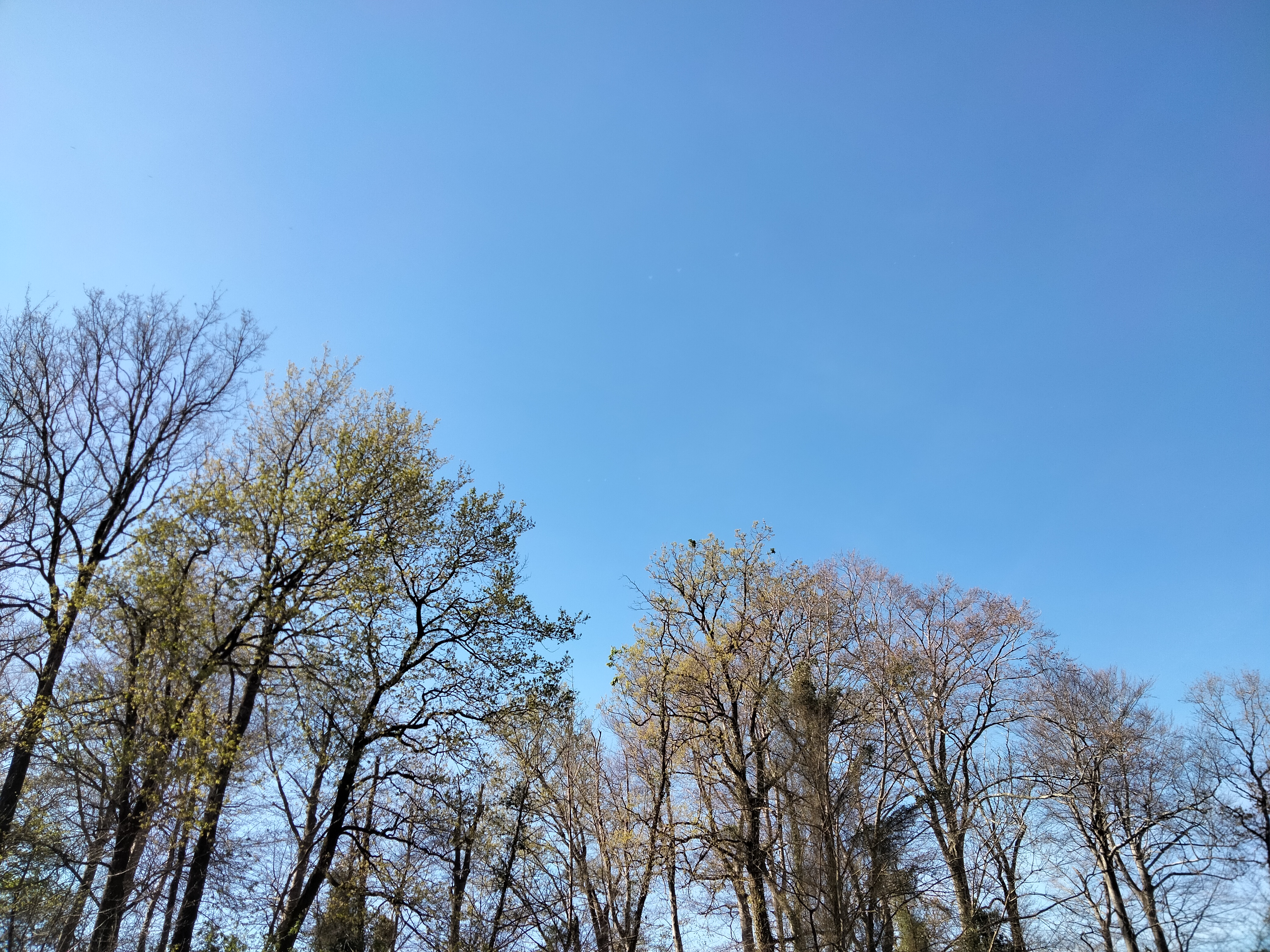 IMG20230407112721.jpg