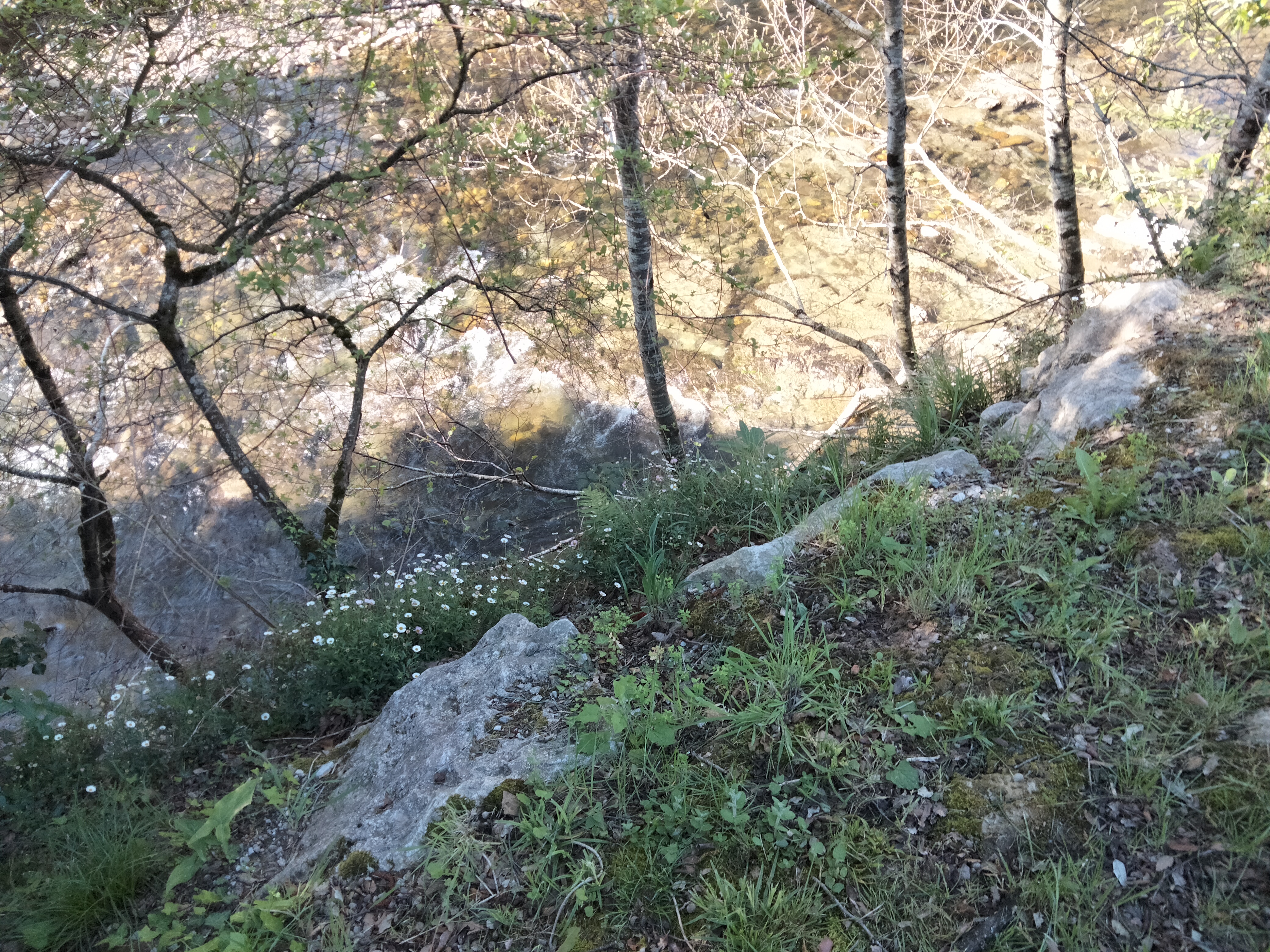 IMG20230407113846.jpg