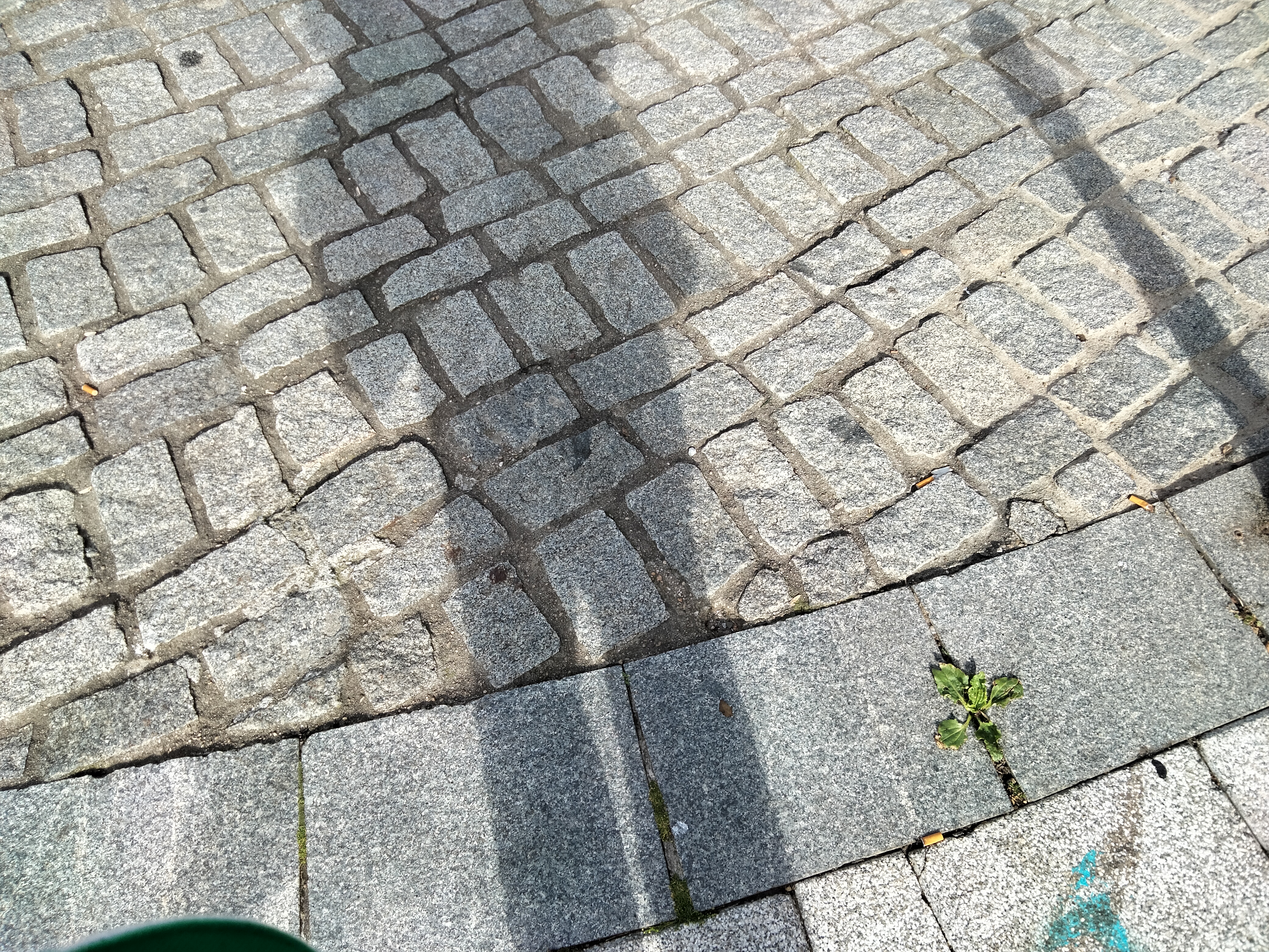 IMG20230411105755.jpg