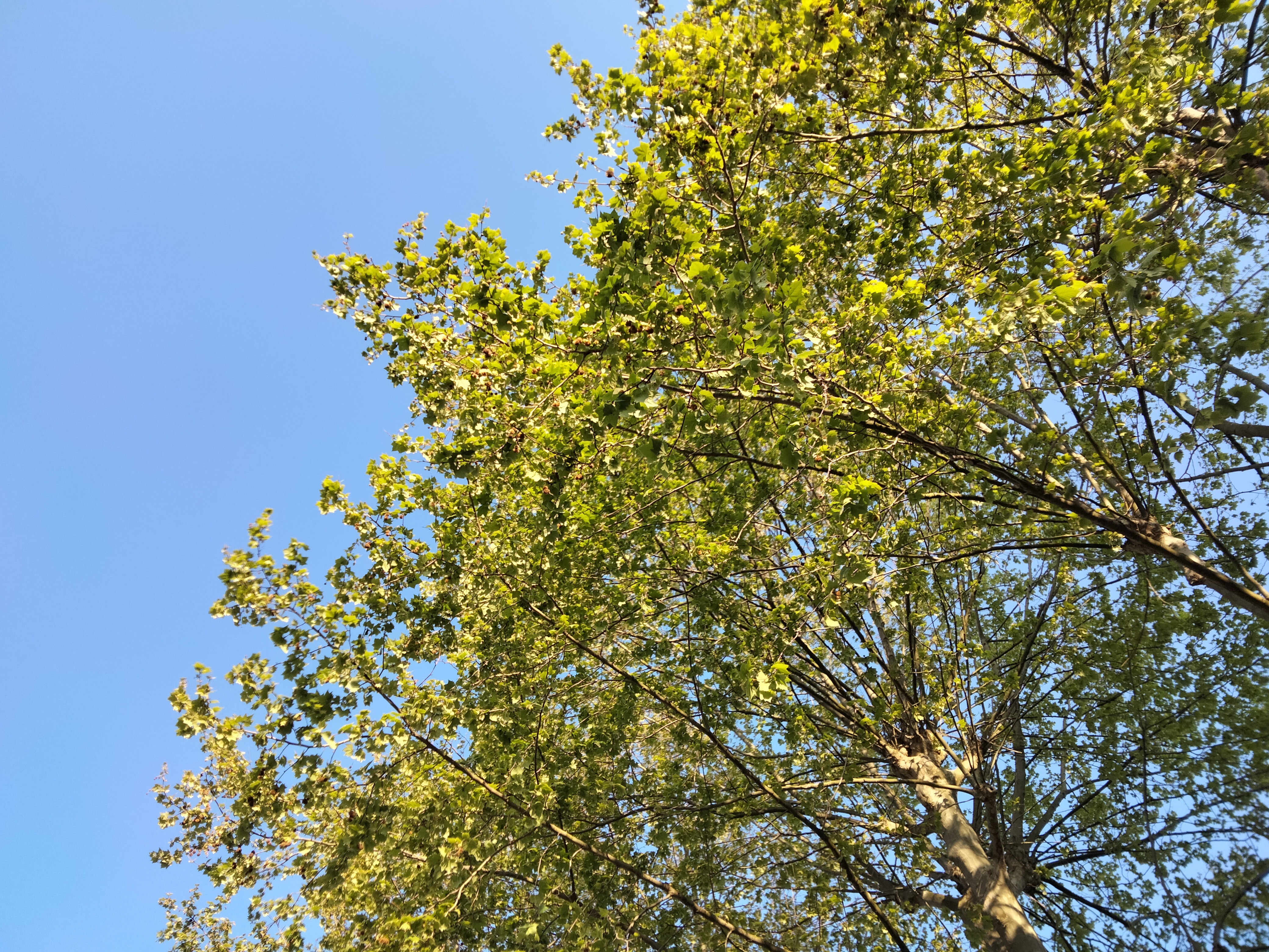 IMG20230418085229.jpg