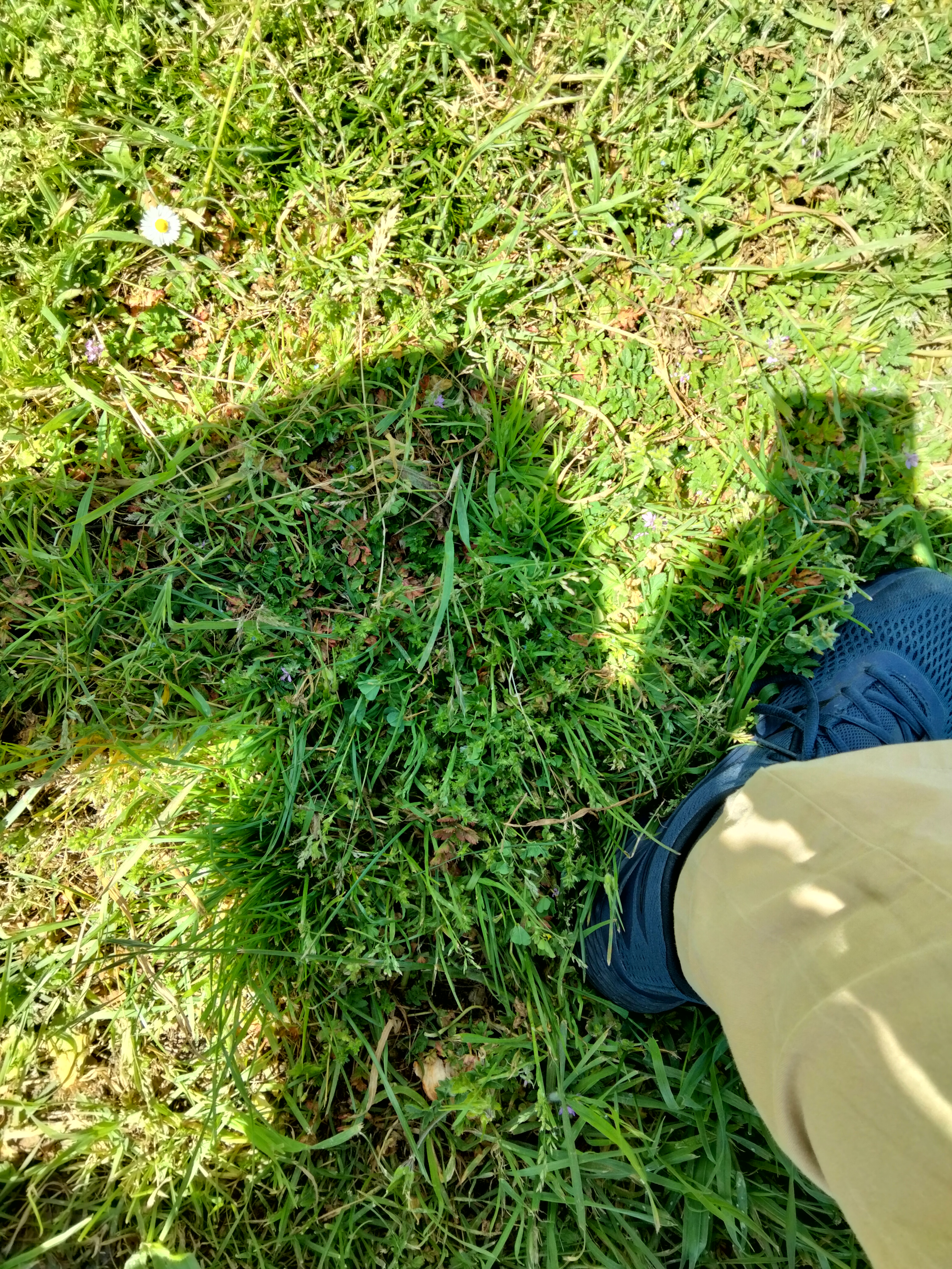 IMG20230422133402.jpg