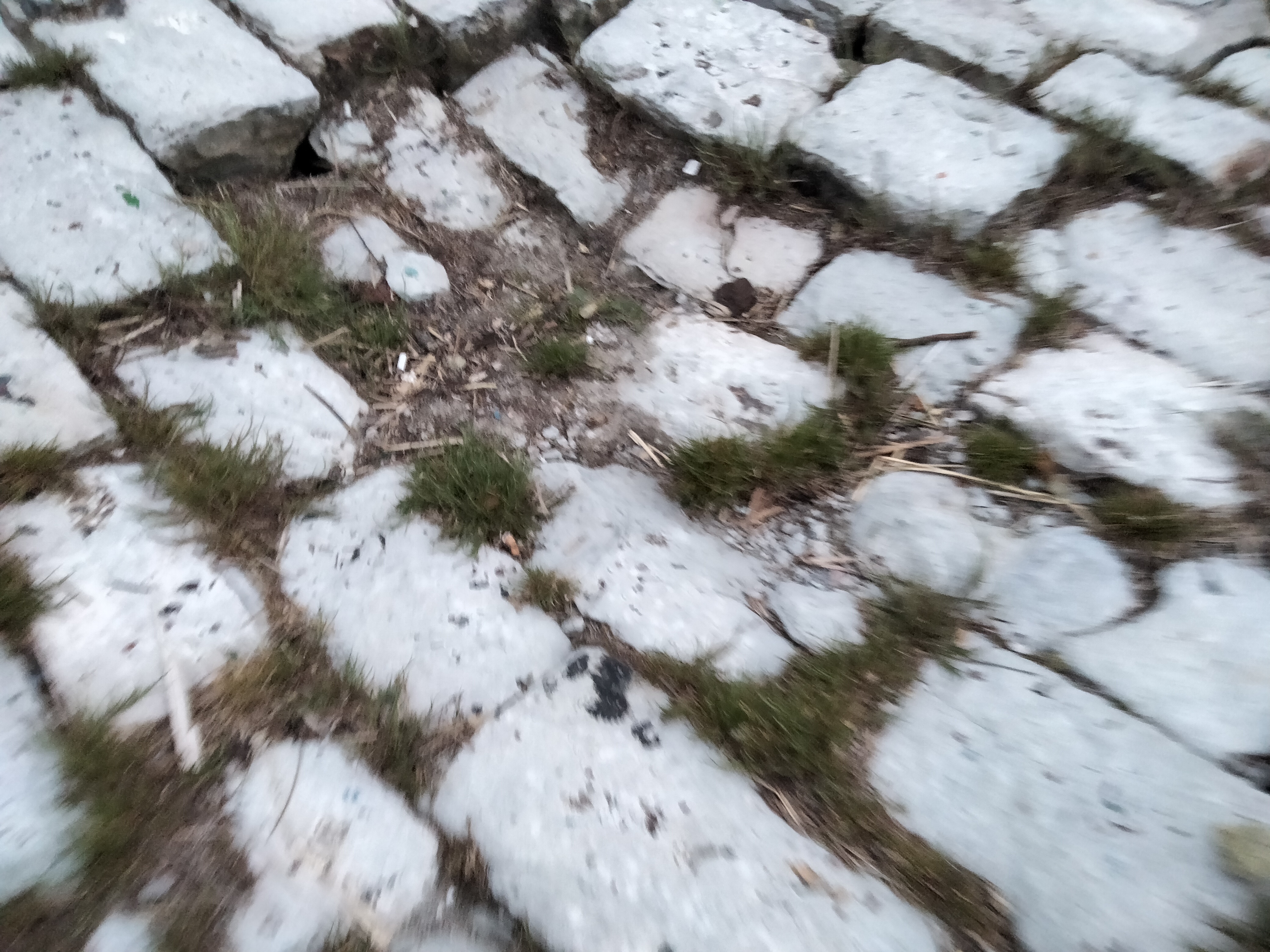 IMG20230426211201.jpg