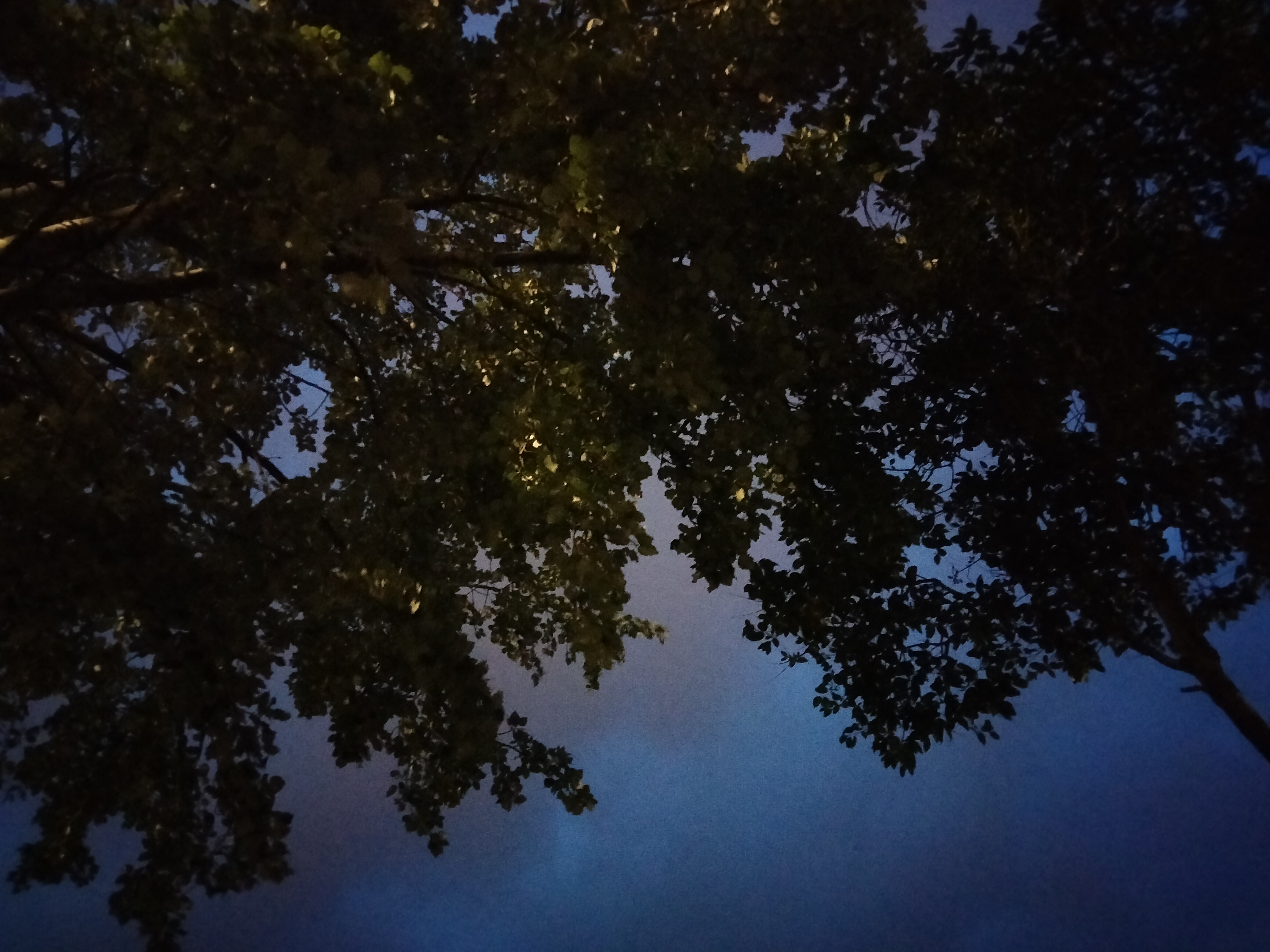 IMG20230510220058.jpg