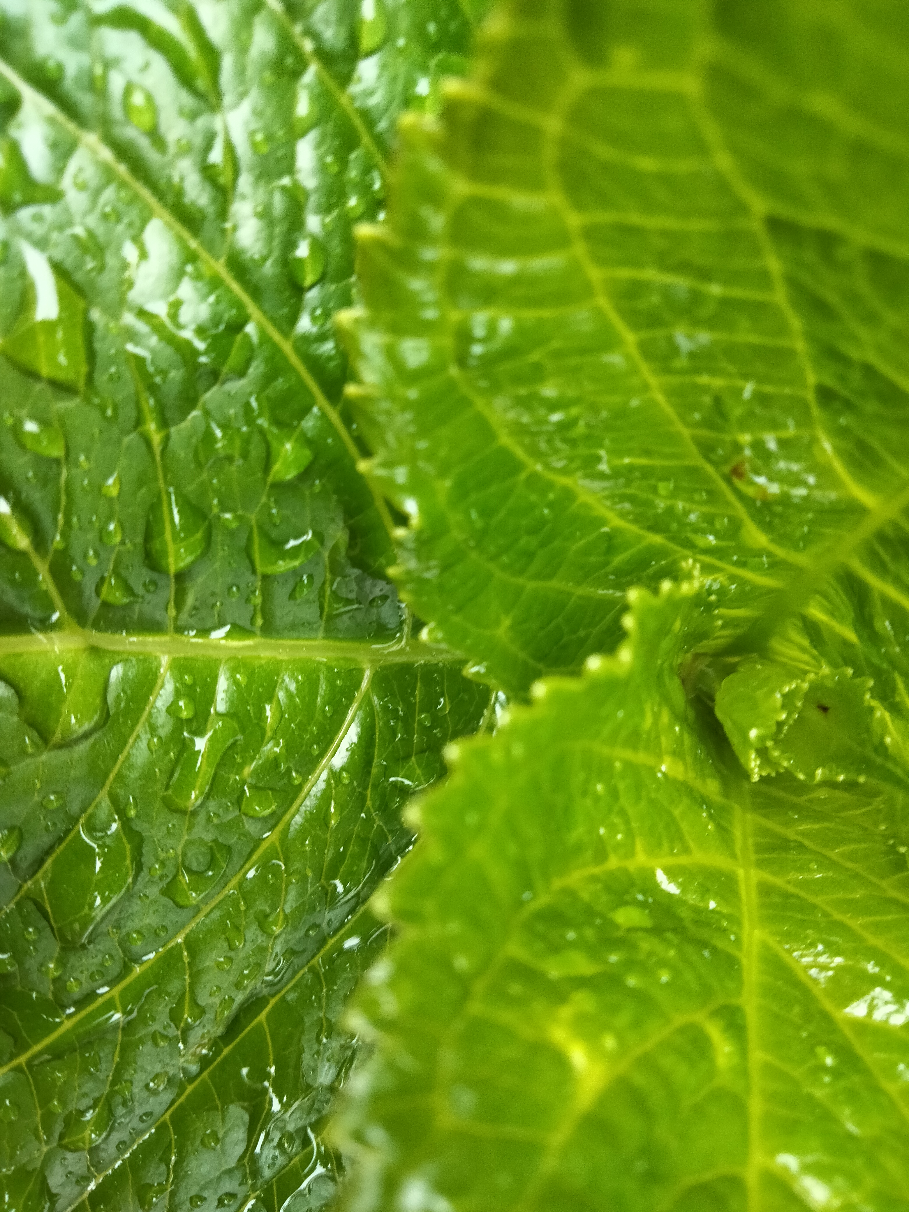 IMG20230515150136.jpg