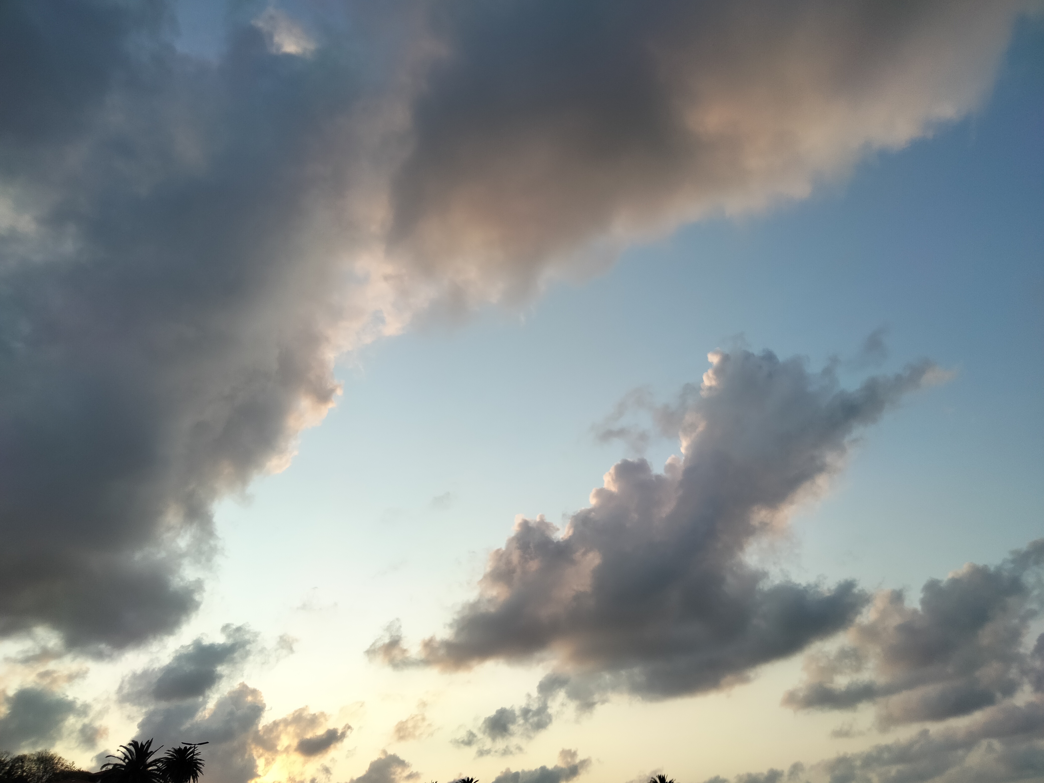 IMG20230519210805.jpg