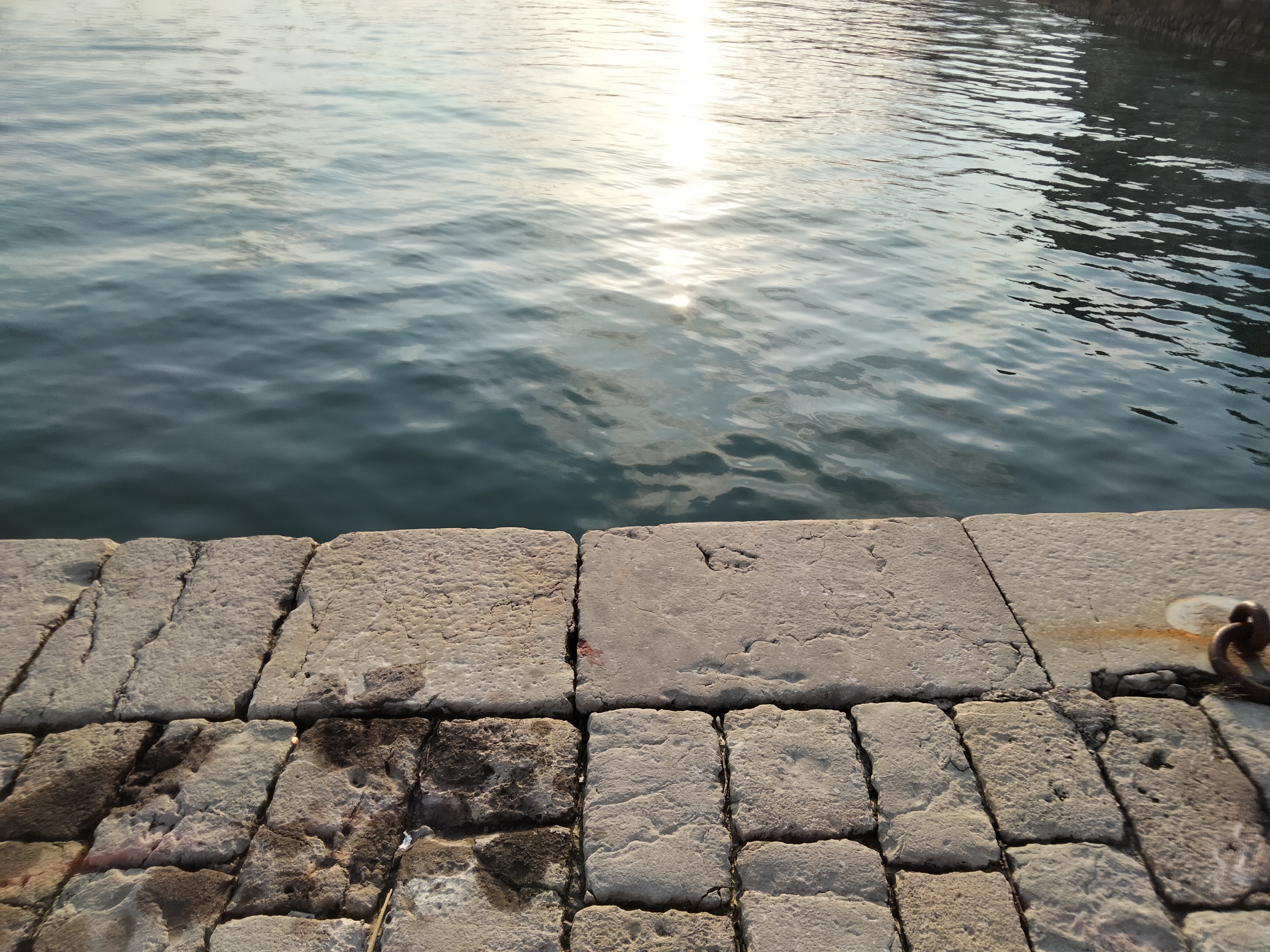 IMG20230520201147.jpg