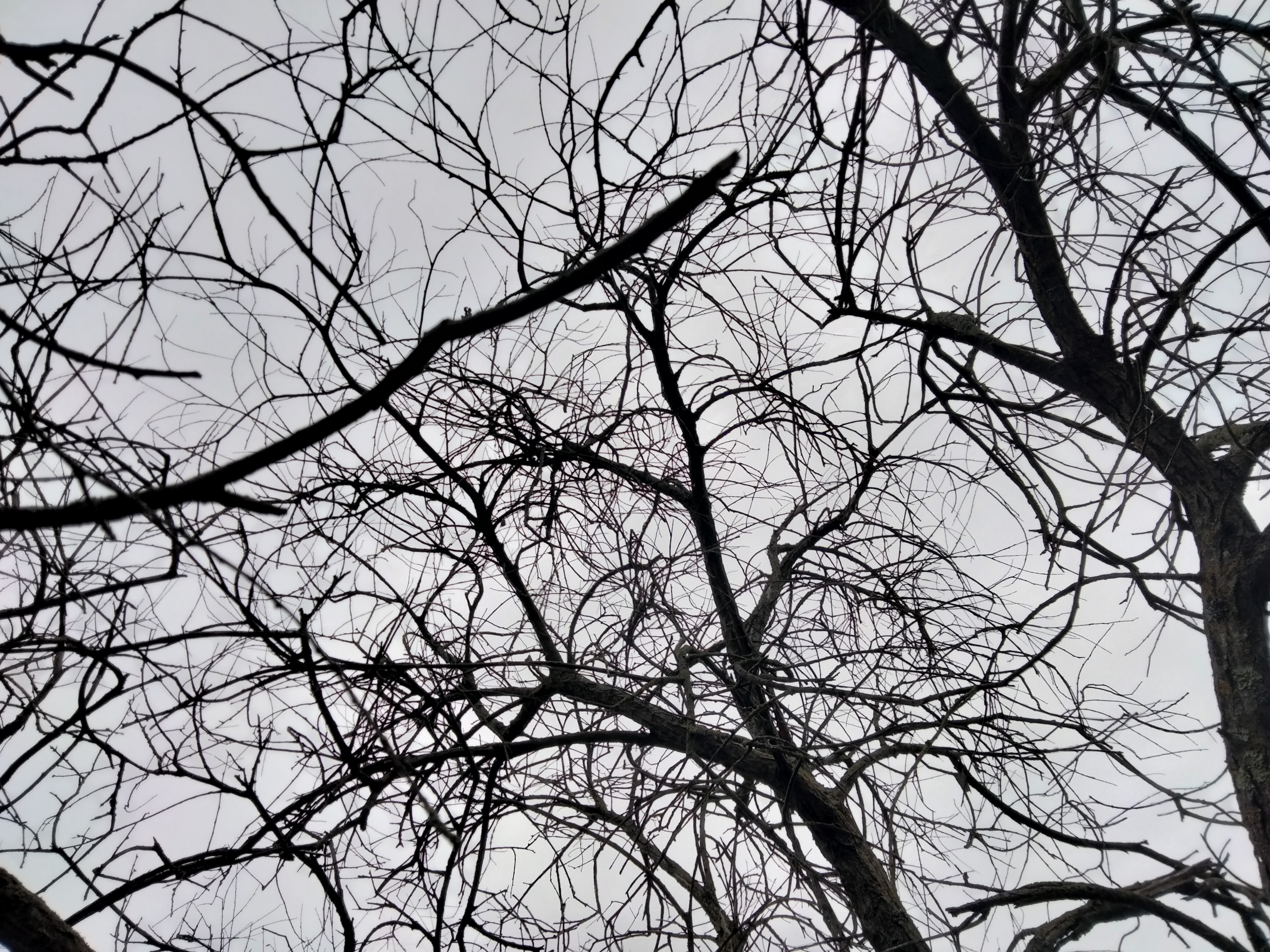 IMG20230521121947.jpg