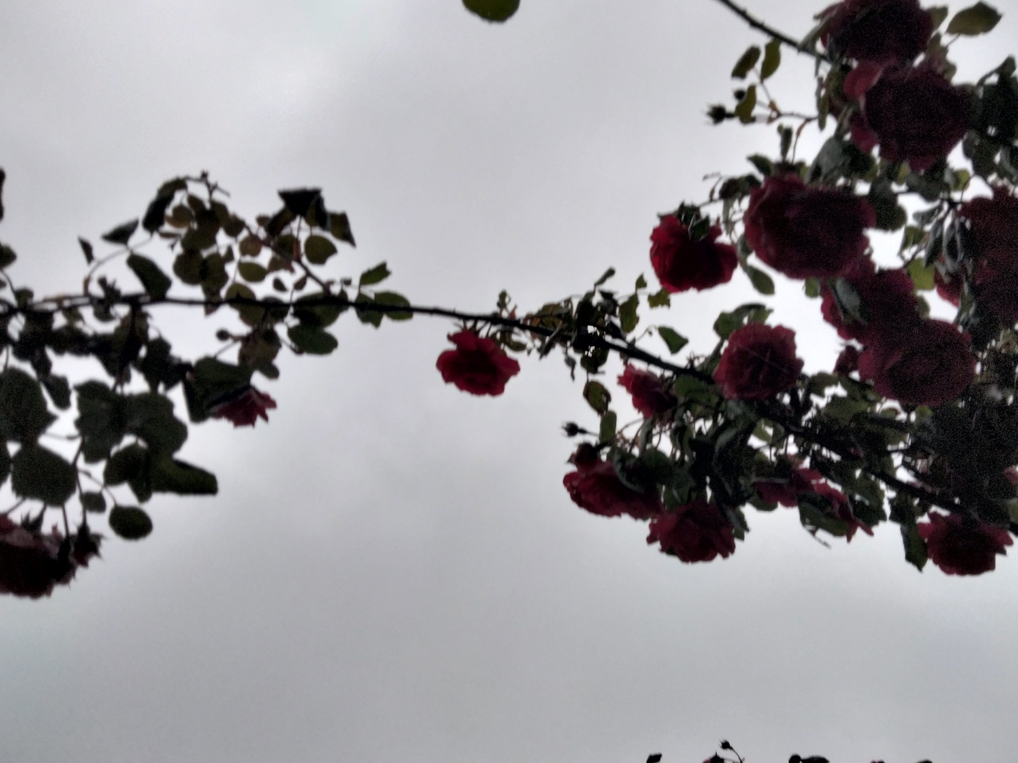 IMG20230522205730.jpg