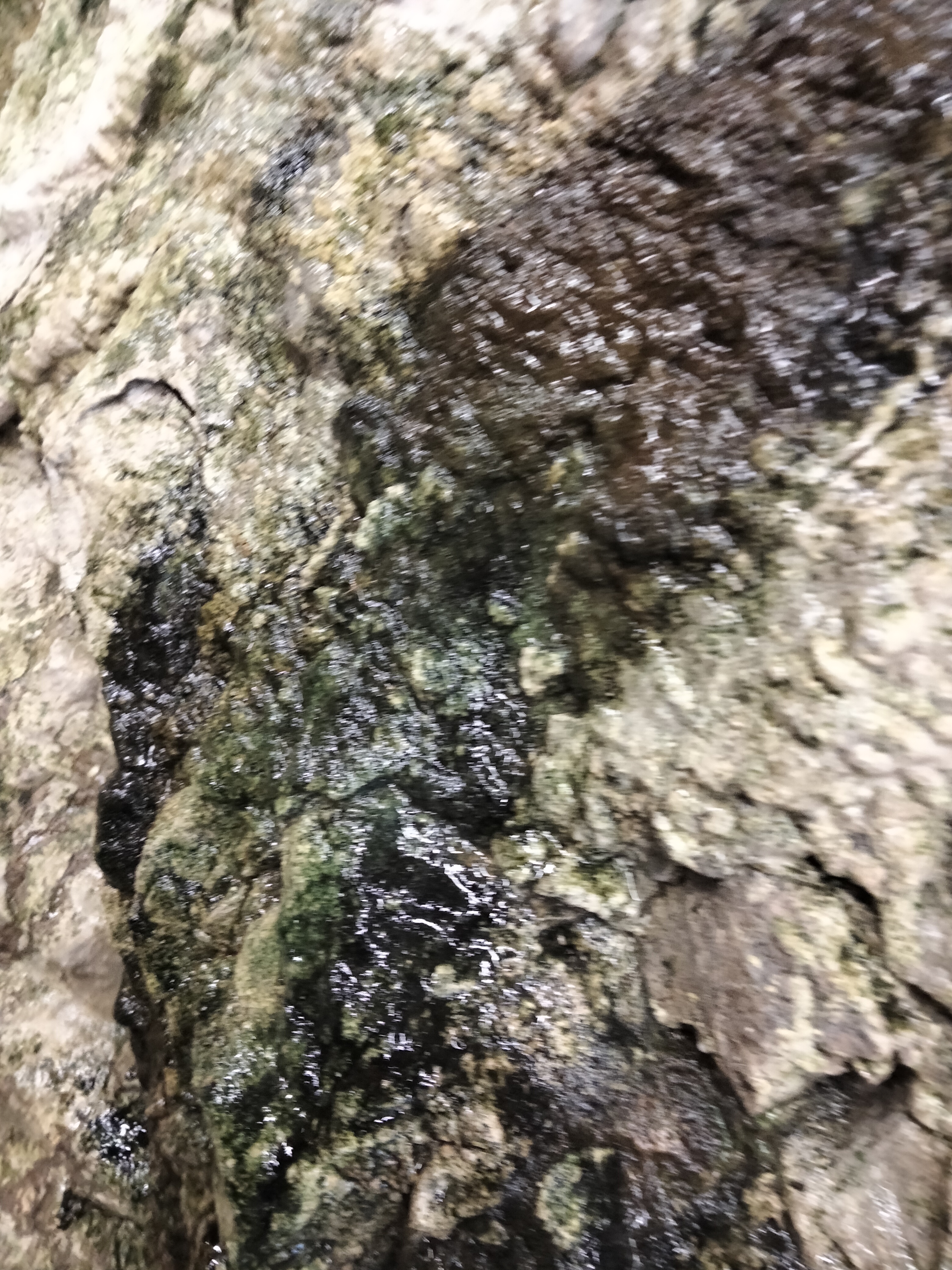 IMG20230609194415.jpg