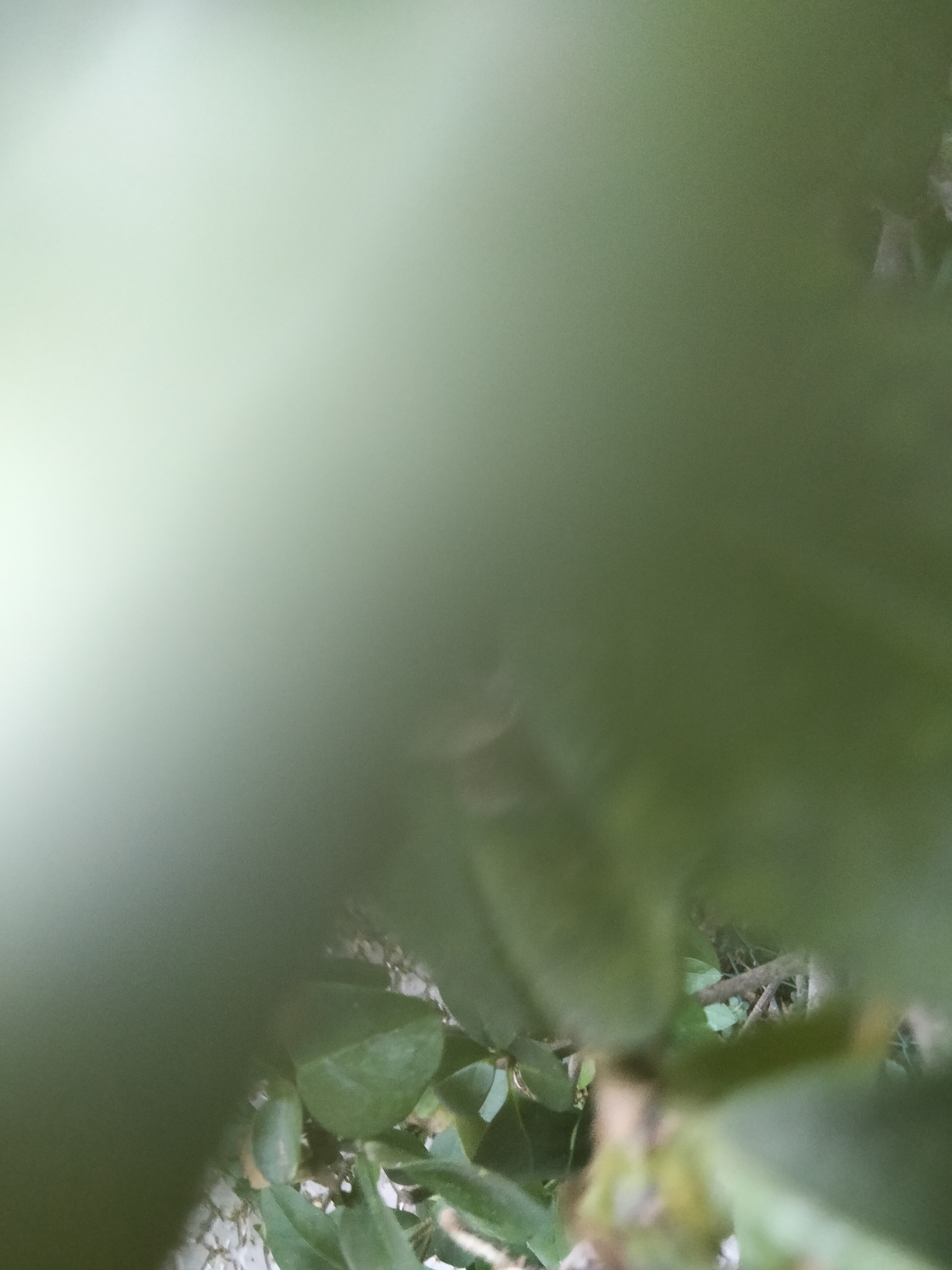 IMG20230613075516.jpg
