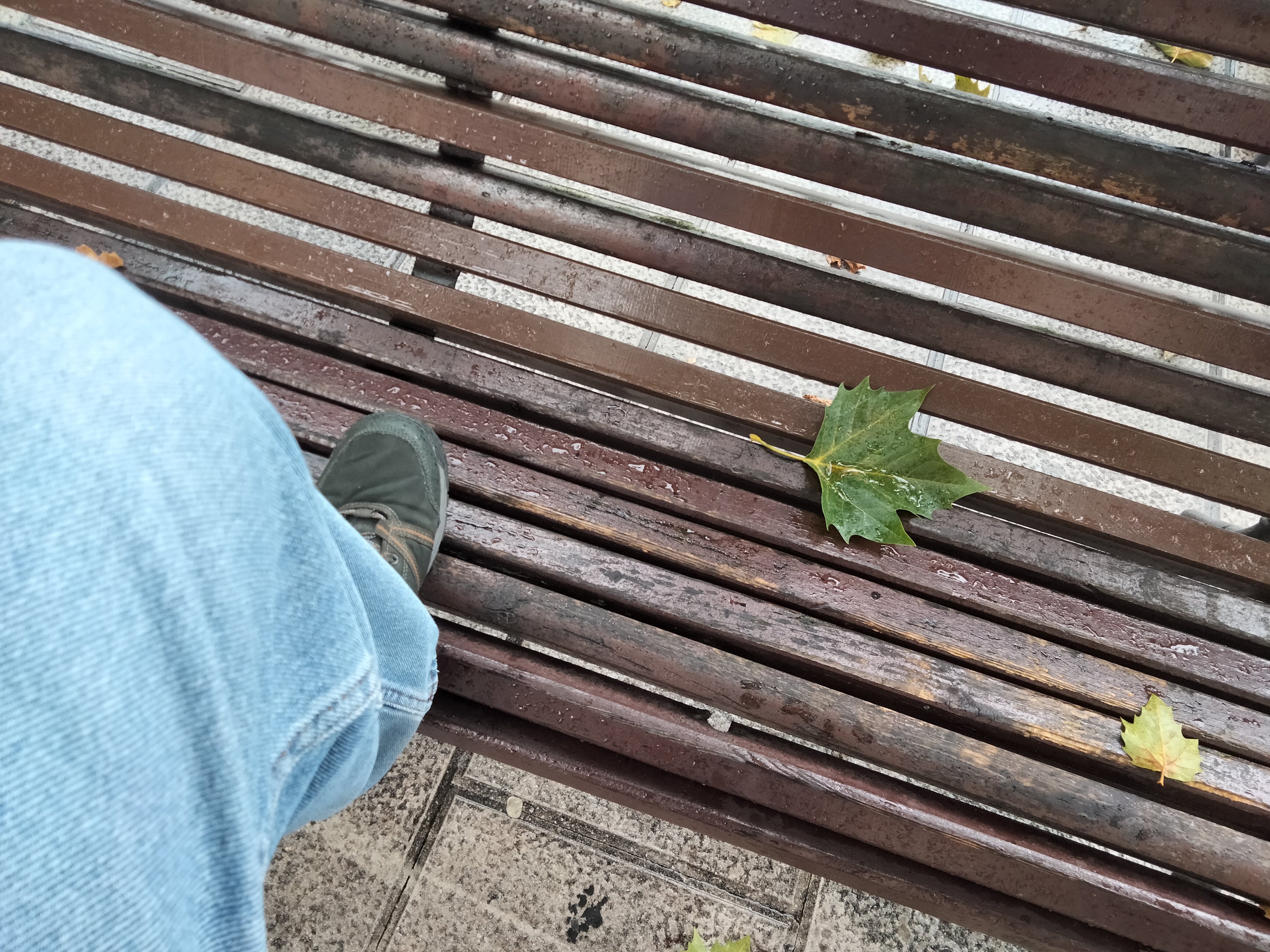 IMG20230629112043.jpg