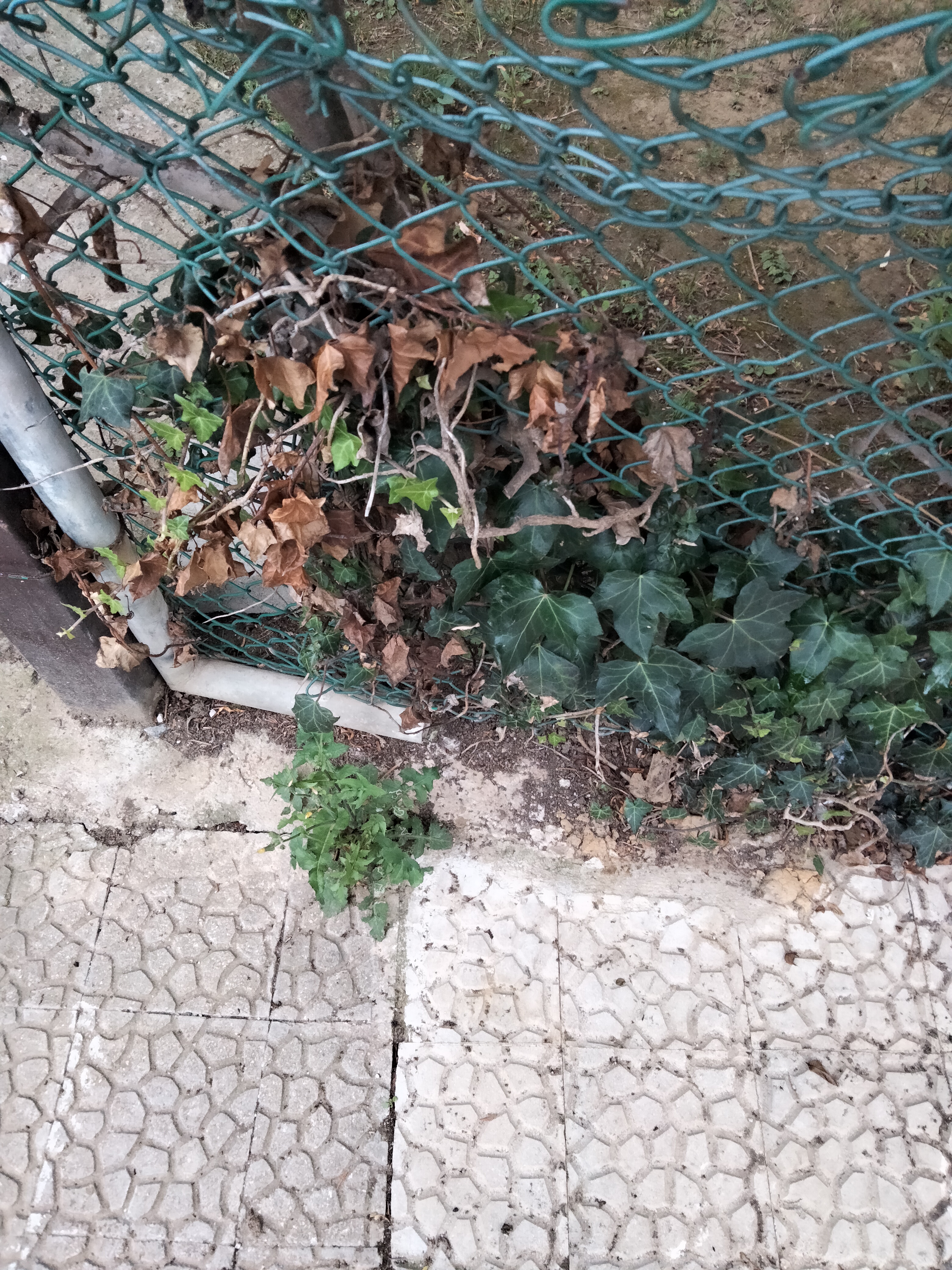 IMG20230716202030.jpg
