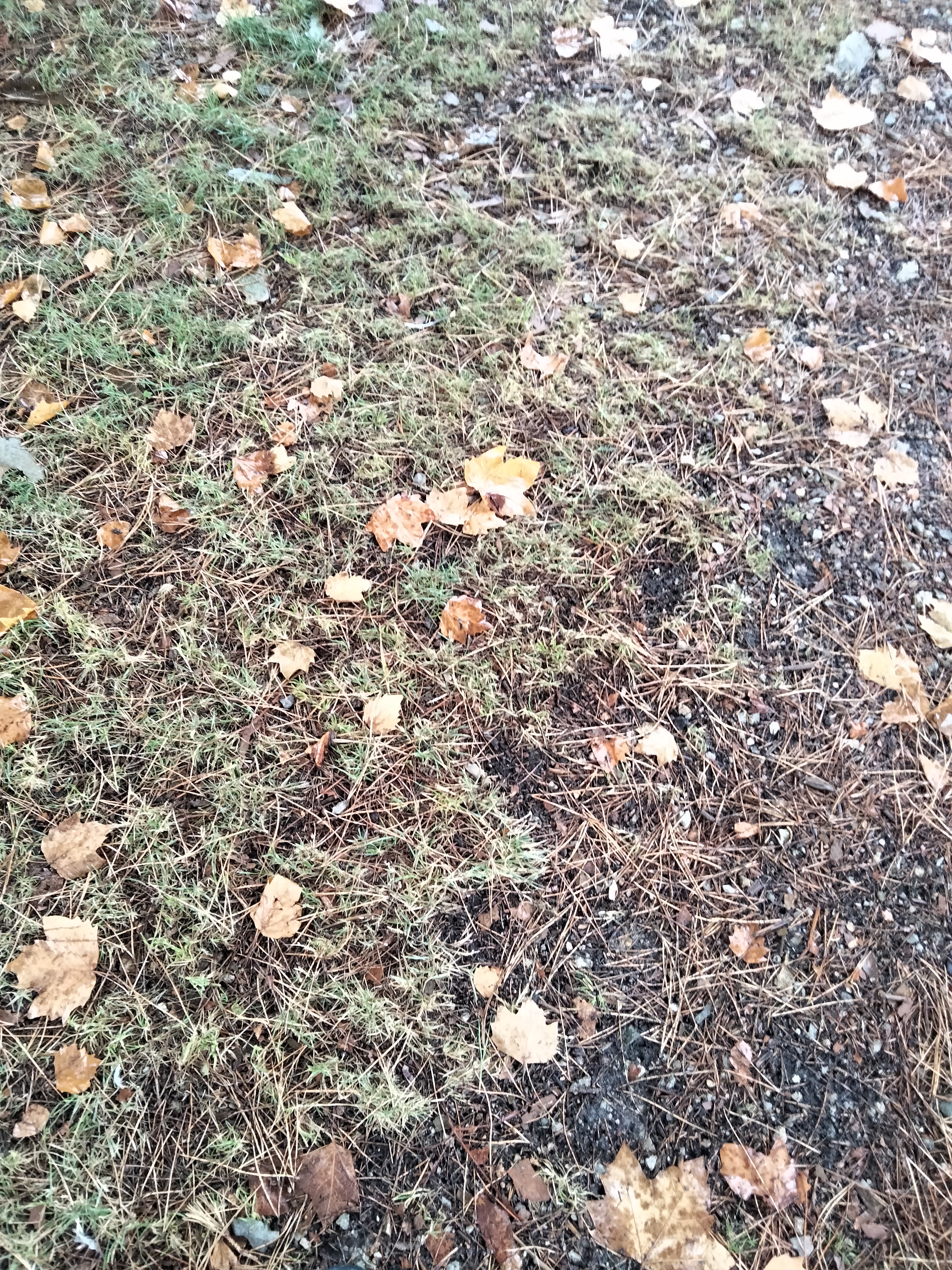 IMG20230826184308.jpg