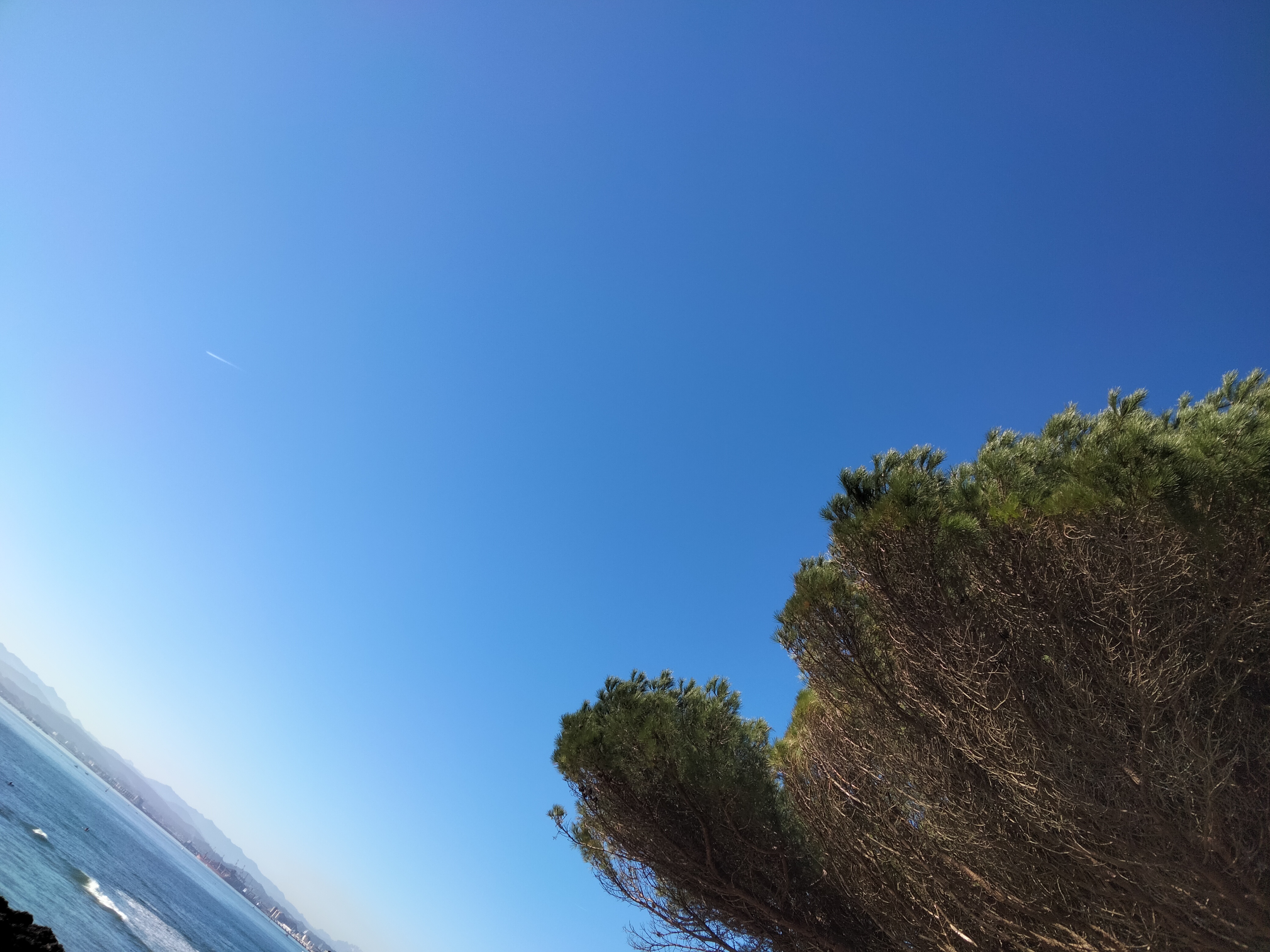 IMG20231217124614.jpg