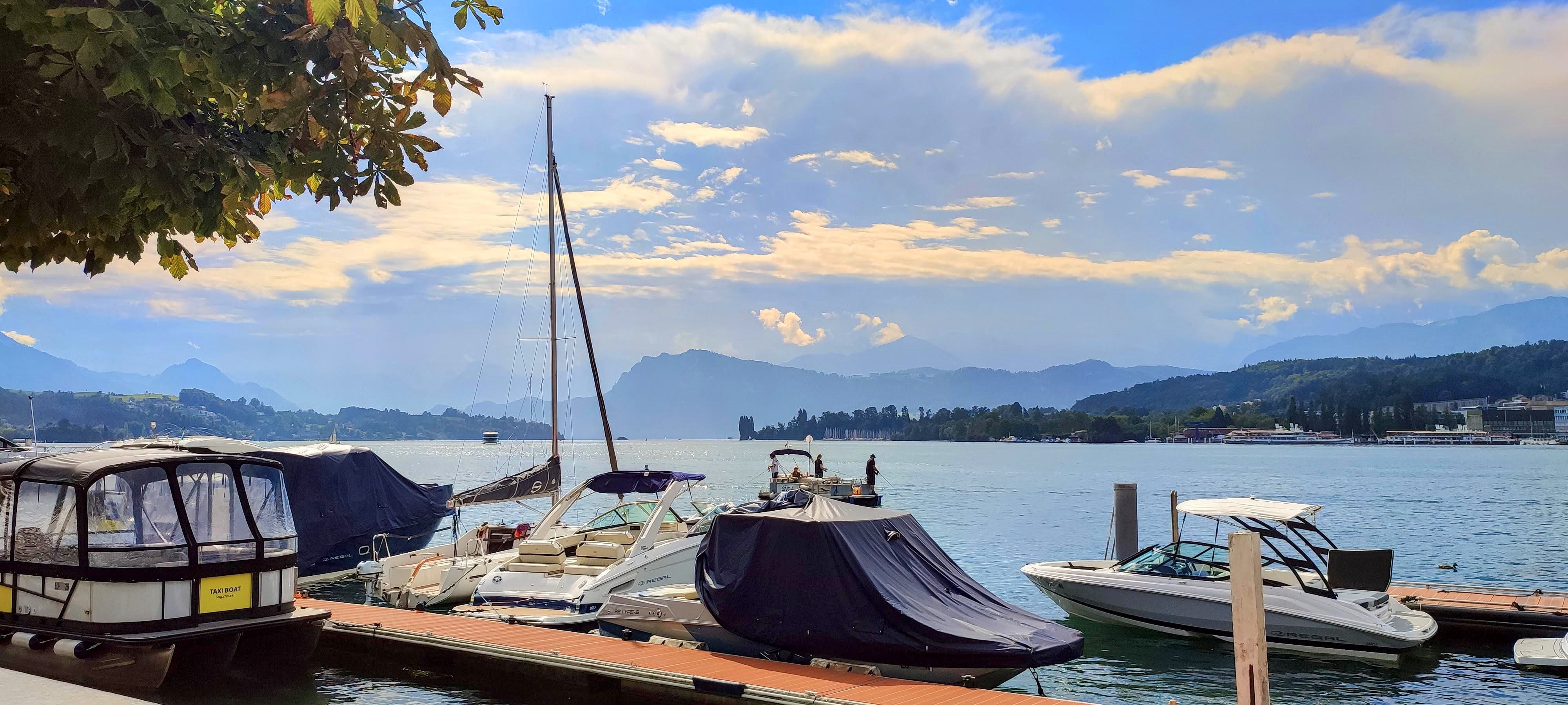 IMG_20240802_105456~2-EDIT.jpg