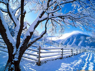 Invierno-2.jpg