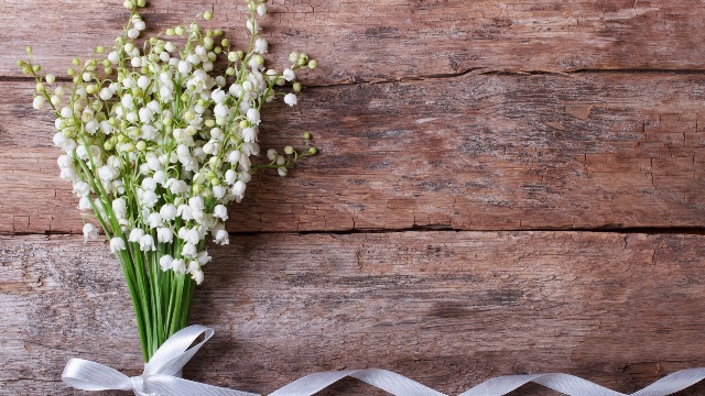 Lilies-of-the-valley-white-flowers-bouquet-ribbon_1920x1080.jpg