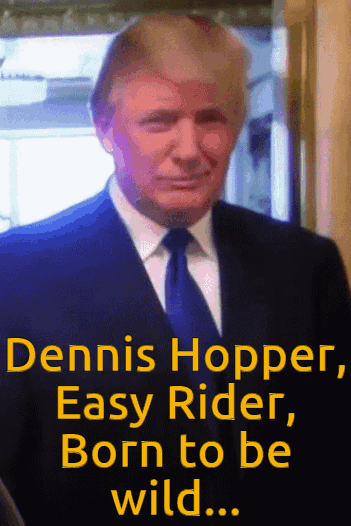 Lux-Donald.gif