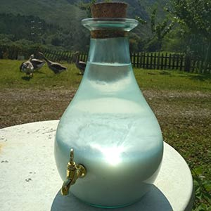 Ormus-Manna-Santo-Grial.png