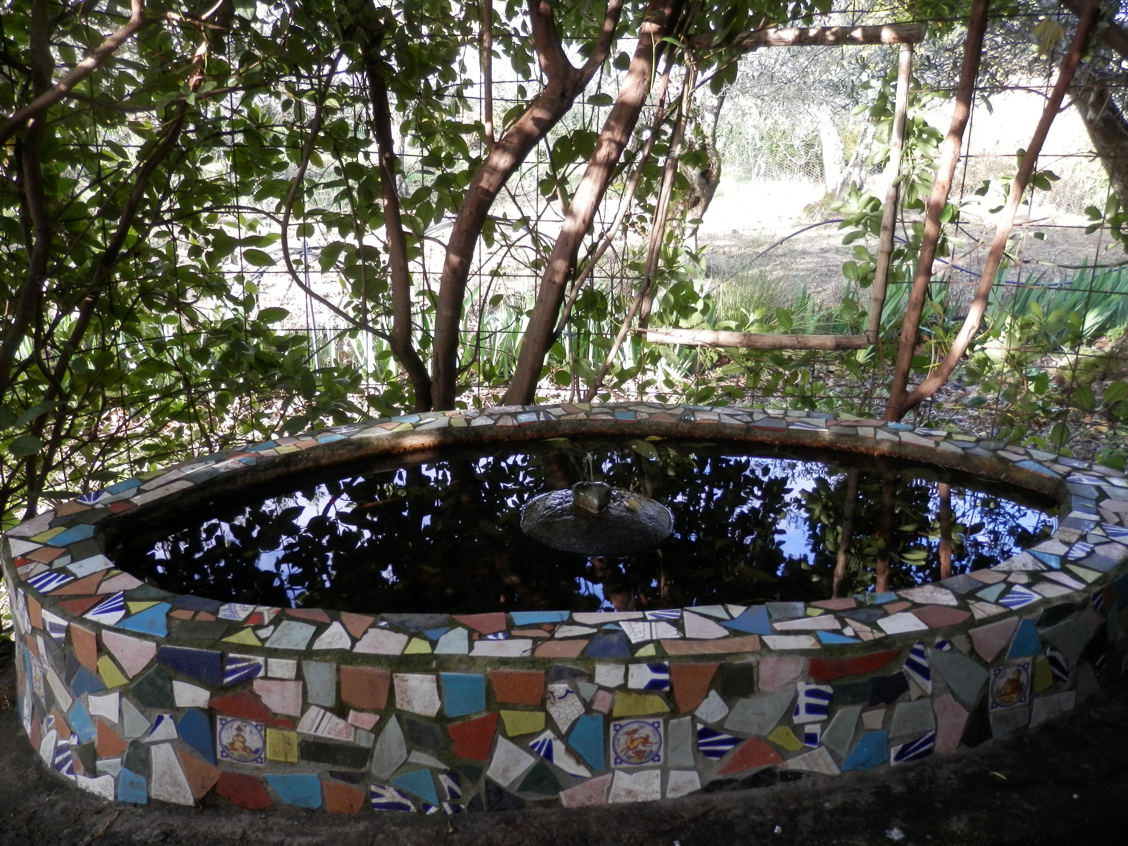 P4030015.JPG