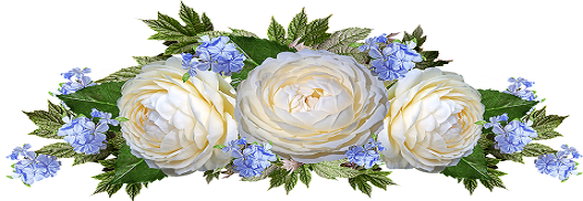 rosa blanca.png