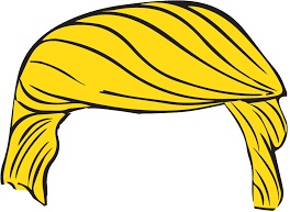 T_hair.jpg