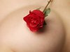 rosa-roja-de-pasion.jpg