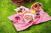 PICNIC.jpg