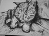 AGHoh0772g.jpg