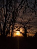 IMG-20200808-WA0010 (1).jpg