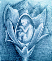 NIÑOSUB.jpg NIÑOSUB.jpg