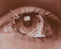 VISION.jpg VISION.jpg