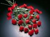 Ramo_de_rosas.jpg