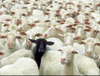 Screenshot_20240813-155131~2.png Screenshot_20240813-155131~2.png