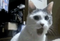 Screenshot_20240824-004204~2.png