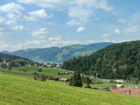 IMG_20240803_165234 (1).jpg