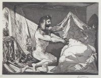 picasso_fcm_003.jpg