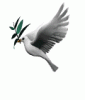 dove_with_olive_branch_md_wht.gif dove_with_olive_branch_md_wht.gif