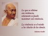 gandhi_paz_450_2.jpg