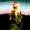 Girasol