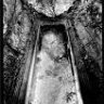 amadeus bathory