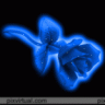 Rosa Blue