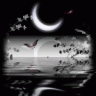 XxAlone in the darkxX