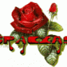 Flor del Amor