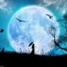 Noche Oscura